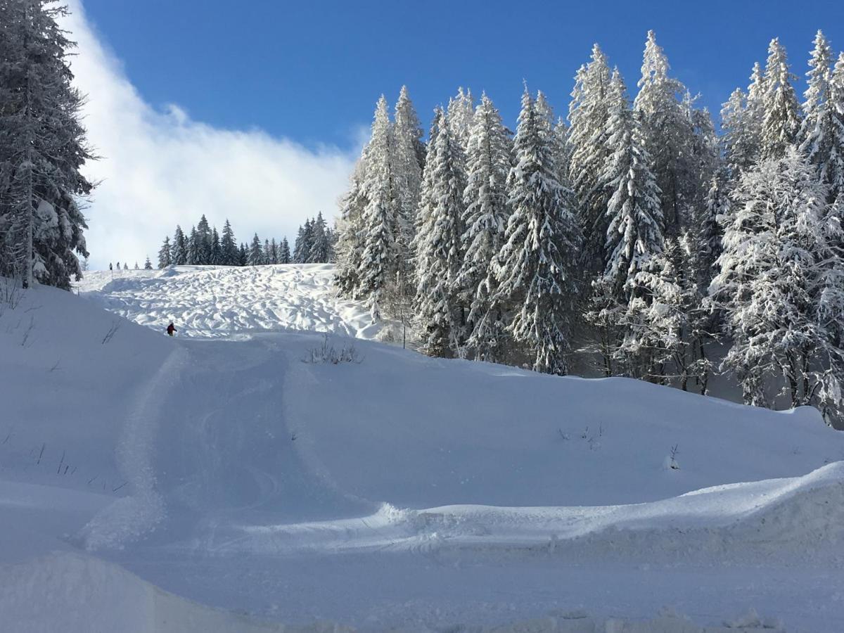 Ferienwohnung Heimweg Feldberg  Kültér fotó