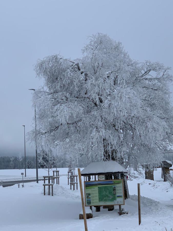 Ferienwohnung Heimweg Feldberg  Kültér fotó