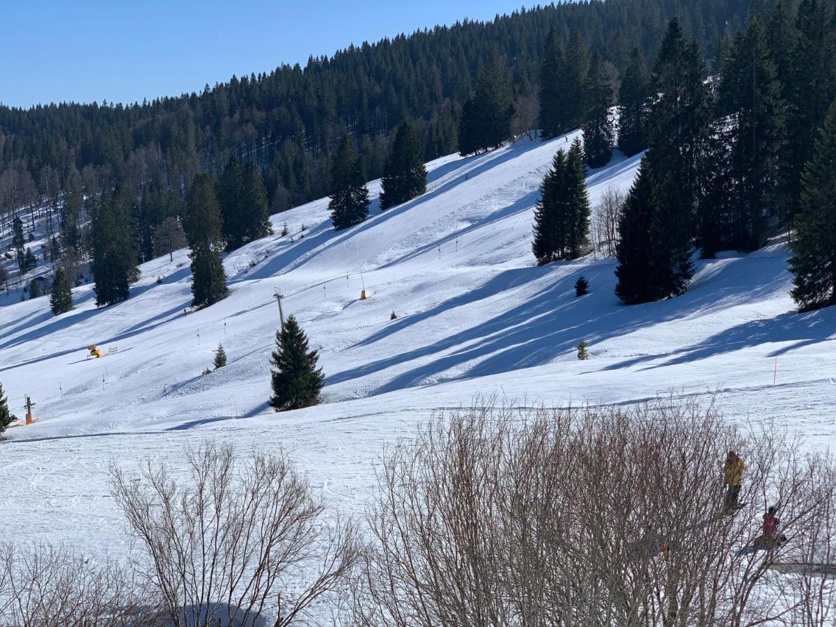 Ferienwohnung Heimweg Feldberg  Kültér fotó